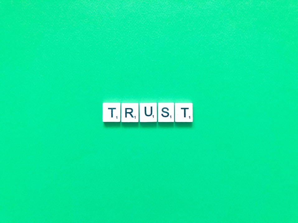 establish trust online